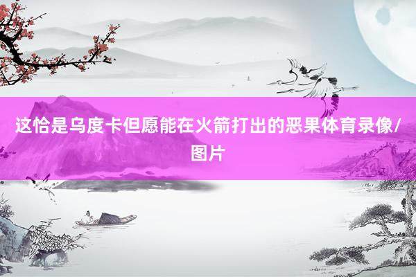 这恰是乌度卡但愿能在火箭打出的恶果体育录像/图片