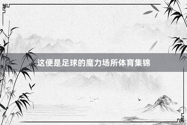 这便是足球的魔力场所体育集锦