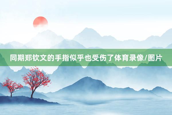 同期郑钦文的手指似乎也受伤了体育录像/图片