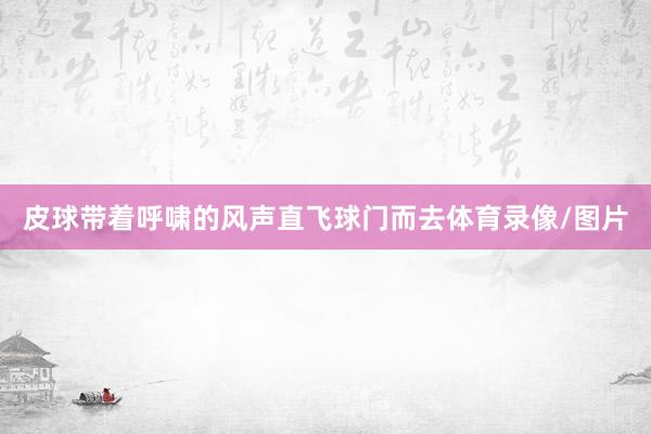 皮球带着呼啸的风声直飞球门而去体育录像/图片