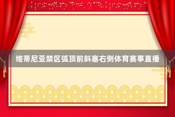 维蒂尼亚禁区弧顶前斜塞右侧体育赛事直播