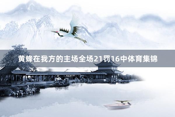 黄蜂在我方的主场全场21罚16中体育集锦