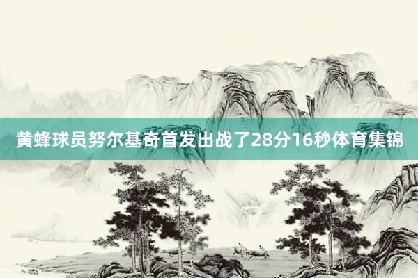 黄蜂球员努尔基奇首发出战了28分16秒体育集锦