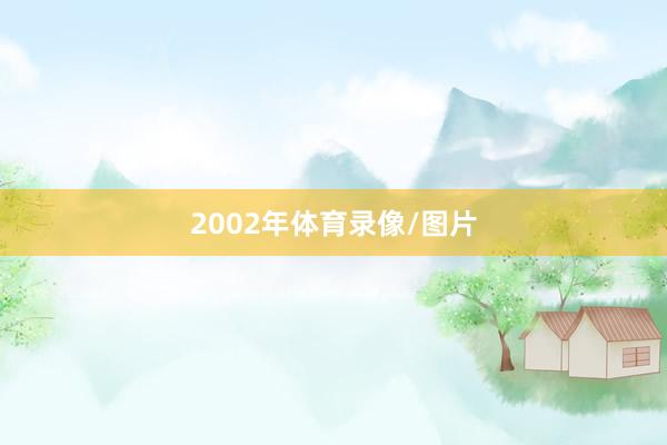 2002年体育录像/图片